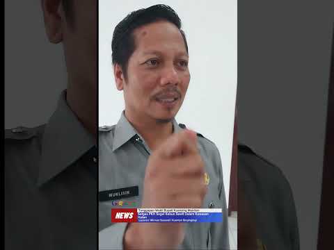 VIDEO: Respons Wabup Kuansing Terhadap Kebun Dalam Kawasan Disita Satgas PKH