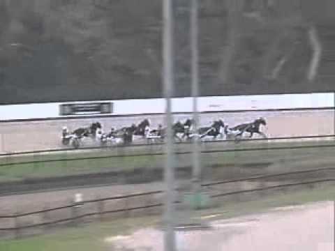 Breeders Crown Germany 5Y Trot 2009 -Brioni