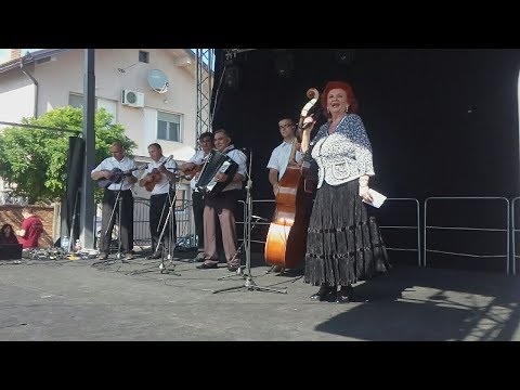 Andjelka Govedarovic - Divan je kiceni Srem (uzivo)