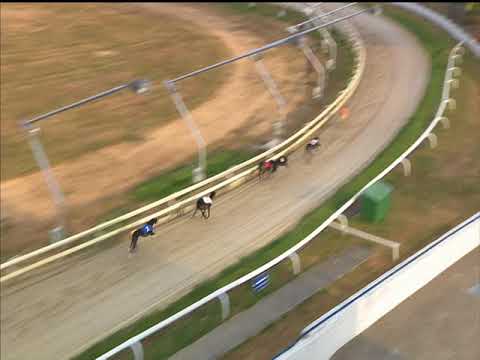 Trade Fudge – Coral Sussex Cup Heat 2