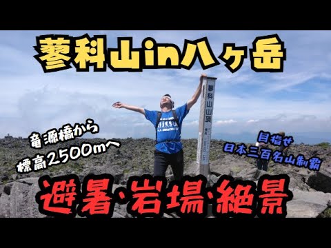 YouTube動画サムネイル