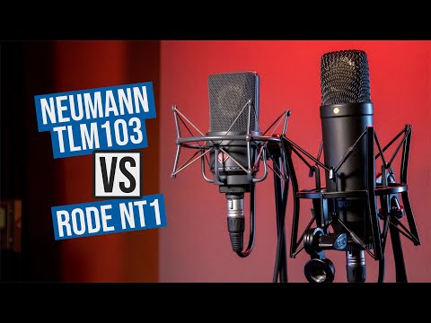 Microfono Neumann TLM103 vs Rode NT1 | Come Suona