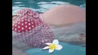 Pregnancy Relaxation - Guided Meditation for Pregnant Woman