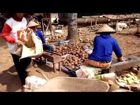 Rebusan untuk potensi untuk bertindak Di mana Anda dapat membeli patogen di Stavropol