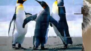 QUEDATE ALEJANDRO COLE