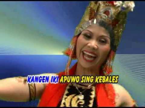 Kangen Sing Kebales - Gandrung Mudaiyah (Official Music Video)