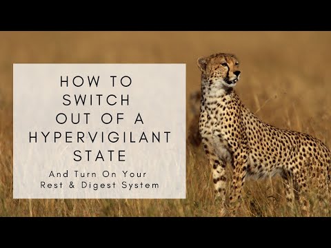 How to switch from a hypervigilant state into your rest system