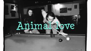 Suede - Animal Lover Lyrics