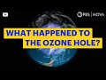 What Happened to the Hole in the Ozone Layer? | NOVA | PBS