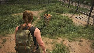 Abby's Perspective part 1