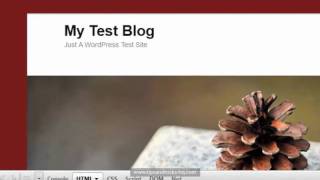 How to use Firebug to Modify Your WordPress Site's CSS - Part1