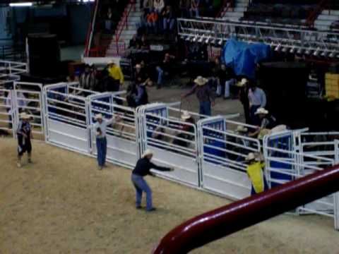 Bull Ride Mania