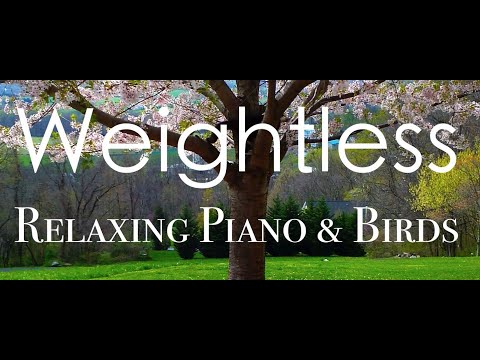 "Weightless" Beautiful Soothing Piano Music for Relaxation, Meditation and Sleep.