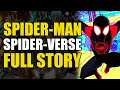 Origin Of Every Spider Man In Multiverse Spider Man Spider Verse Full Story Comics Explained