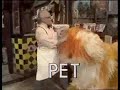 Classic Sesame Street PET And WET 1979