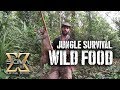Living off the Jungle, Wild Foods Tour