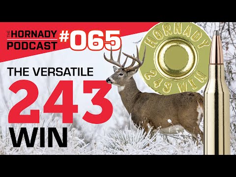 Ep. 065 - The Versatile 243 Win