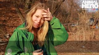 Animal Rescue of the Year Award - Lola Webber video