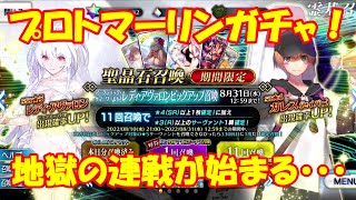 【FGO】連戦開始！レディ・アヴァロンガチャ！