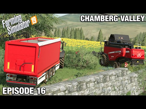 SUNFLOWER CROP FOR BIODIESEL - Chamberg Valley FS19 Ep 16