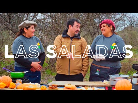 PUNTO ANSENUZA - LAS SALADAS