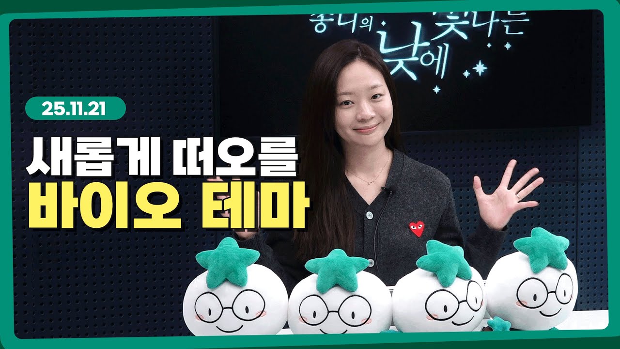 진짜를 가려낼 때, 새로운 테마가 등장한다! l 251120 l 쏭디의 돈이 빛나는 낮에