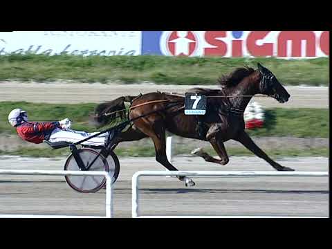 Napoli Trotto 24/03/2023 - 4ª corsa