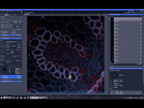 ZEN 2.1 bugs and missing features. 4. Stage movement is not compensated for scan area rotation