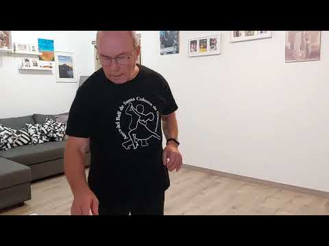 EL TIBURÓN ITALIANO- BAILE EN LÍNEA - GUINEUETA