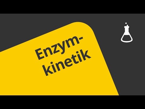 Enzymkinetik - Ein Überblick | Chemie | Allgemeine und anorganische Chemie