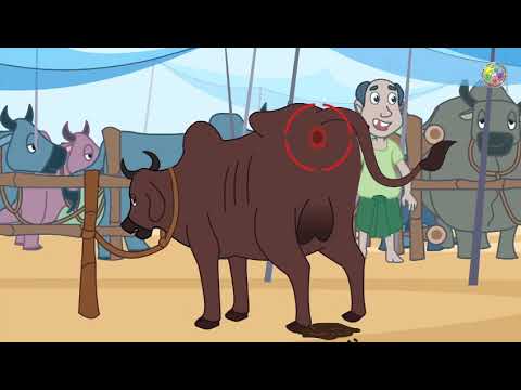 কোরবানির মাংসের নিরাপদতায় সম্ভাব্য ঝুঁকিসমূহ মোকাবেলায় করণীয়