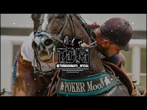 Só Curtindo o Batidão - Forró Top 10 - @turmadomato_oficial - TDM