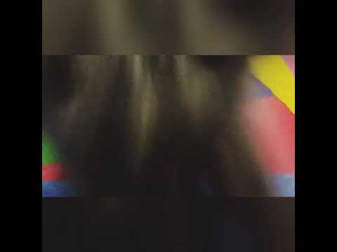 Playful Himalayan Cat