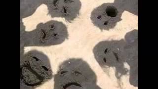 Jeff Lorber Fusion - Everlast