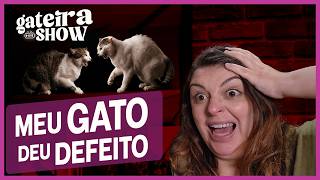 Gato Brigando, Miando, Xixi Fora do Lugar | Gateira Live Show #022