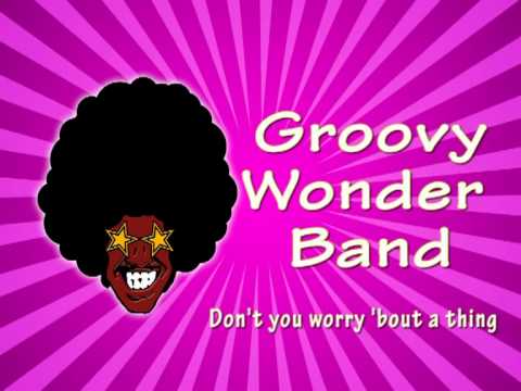 Don't You Worry 'Bout A Thing - Groovy Wonder Band