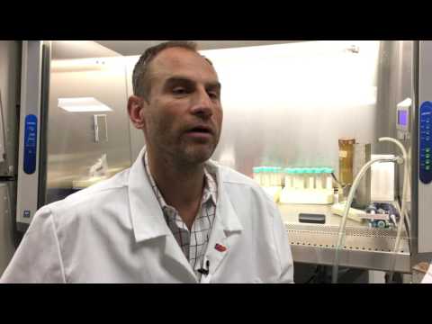 Alexey Terskikh, Ph.D., on Zika