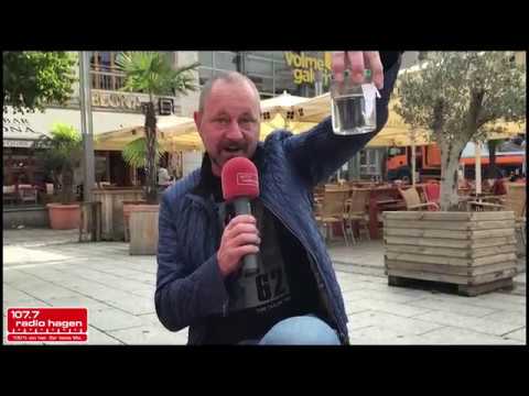 Bundestagswahl 2017 - Michael Eiche, AfD