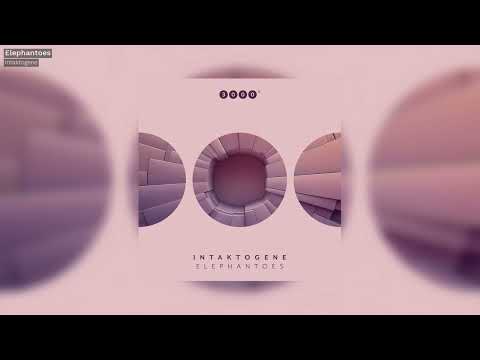 Intaktogene -  Elephantoes - 3000Grad