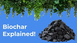 🌱 Biochar EXPLAINED! How It Transforms Soil &amp; Supercharges Your Plants! 🔥