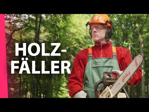 Wenn man einen Holzfäller Praktikanten bekommt.