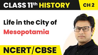 Writing and City Life Class 11 | Life in the City of Mesopotamia | Class 11 History