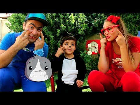 download lagu mp3 mp4 Gato Amoroso, download lagu Gato Amoroso gratis, unduh video klip Gato Amoroso