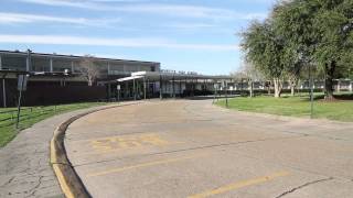 Noveller - St. Vincent - Day 11, Day Off, Lafayette, LA - Flashback