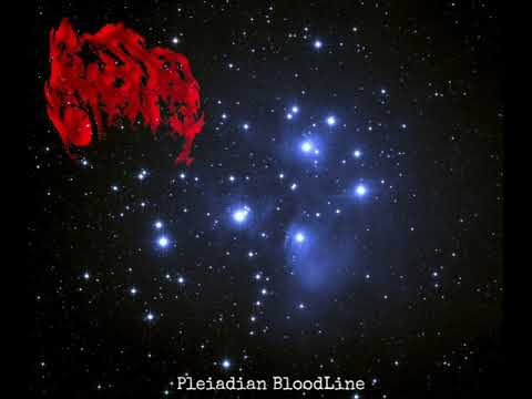 FEROCITY - Pleiadian BloodLine - (2020)