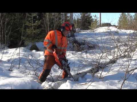 Metsolan Metsäkoulu 12, Moottorisaha, karsinta