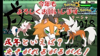 【ポケモンUSUM】戌年 たそがれルガルガンいざ、出陣！ステロ撒きの犬！