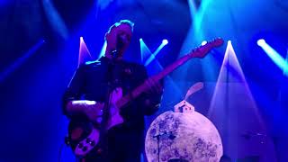 Buffalo Tom Treehouse