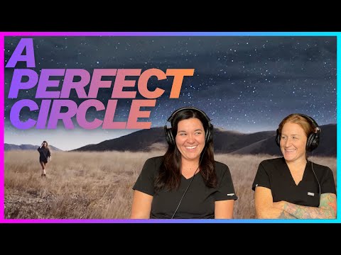 D'N'A Reacts: A PERFECT PICK??! | A Perfect Circle | Disillusioned