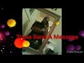 Big Man Massage